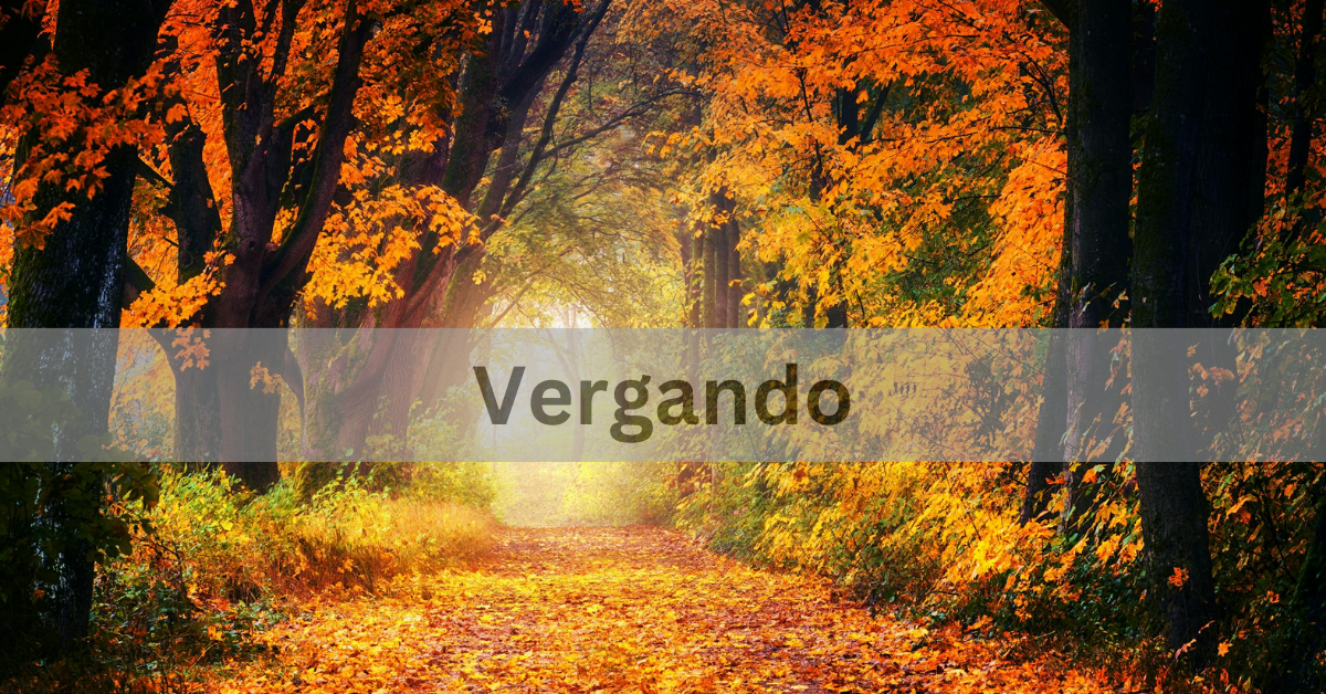 The Cultural Legacy of Vergando