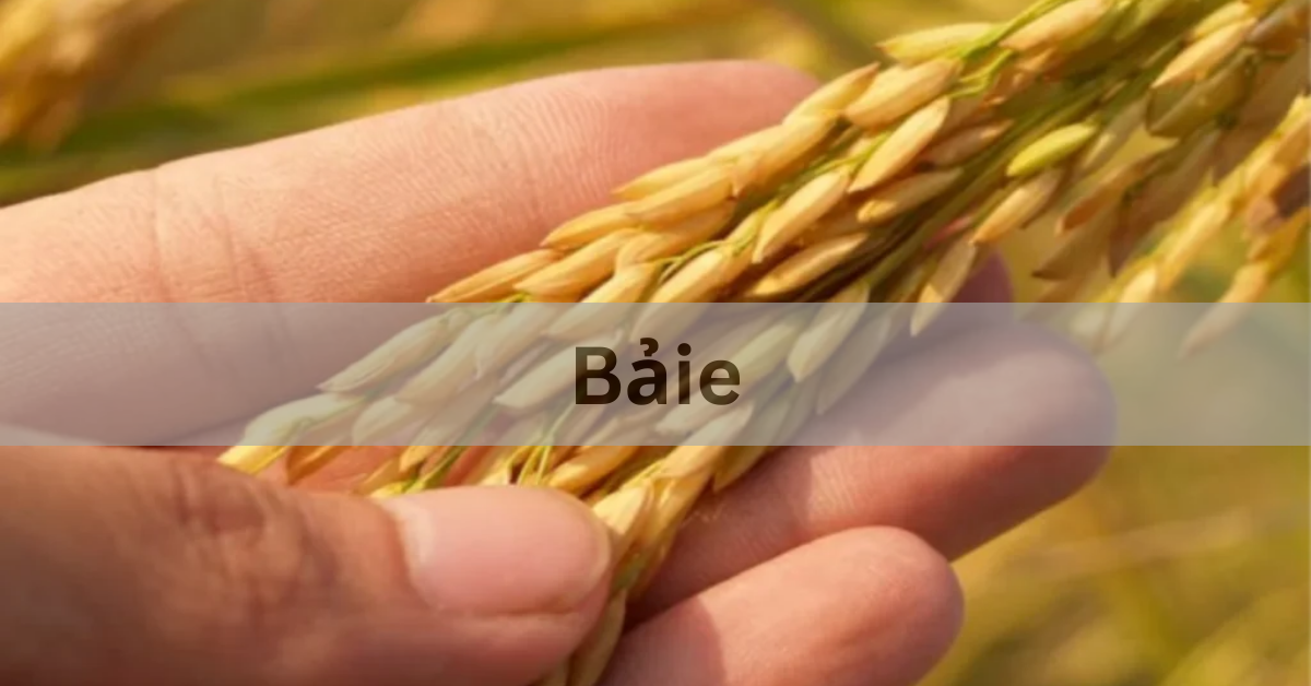 Bảie